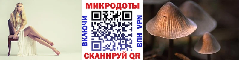 Галлюциногенные грибы Psilocybine cubensis  Купить закладки  Кольчугино 