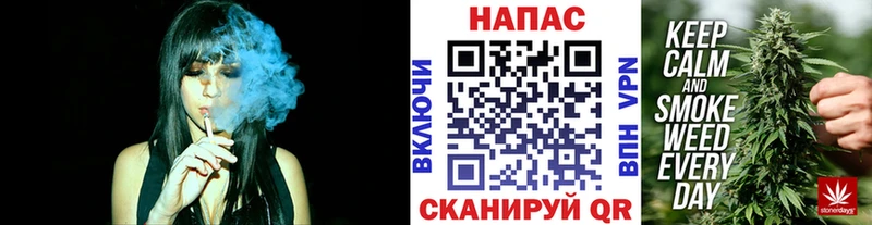 Марихуана сатива Кольчугино